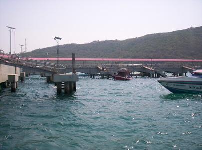 100_5638_resize.JPG