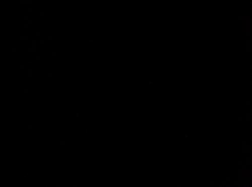 100_5947_resize.JPG