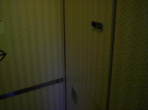 100_5942_resize.JPG