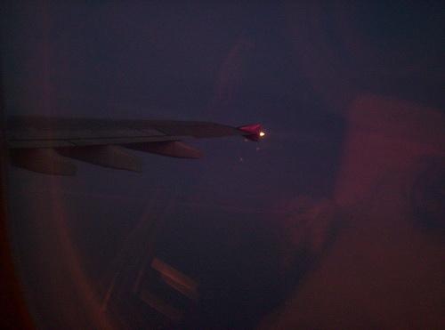 100_5930_resize.JPG
