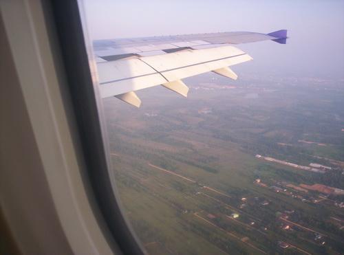 100_5960_resize.JPG