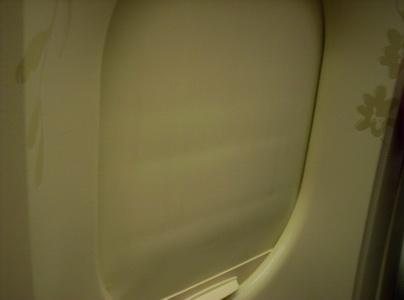 100_5473_resize_resize.JPG