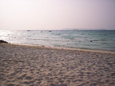 100_5678_resize.JPG