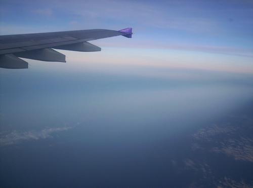 100_5948_resize.JPG