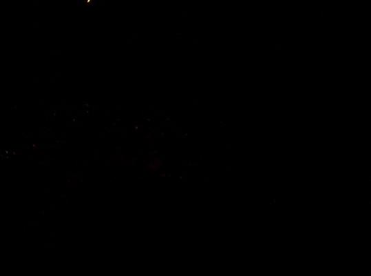 100_5596_resize.JPG