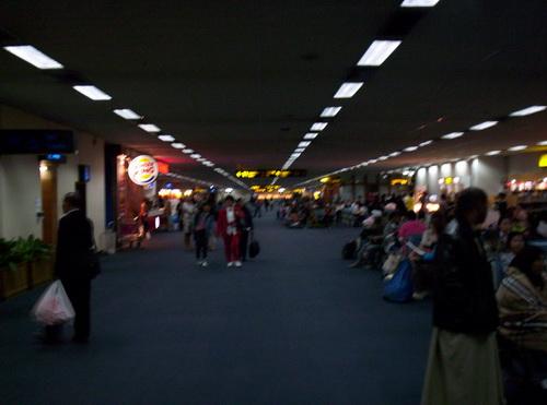 100_5814_resize.JPG