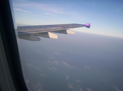 100_5952_resize.JPG