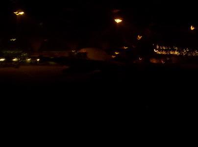 100_5504_resize_resize.JPG