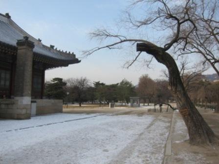 korea-145.JPG