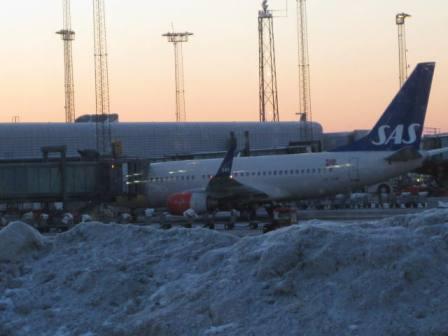 IMG_1695.JPG