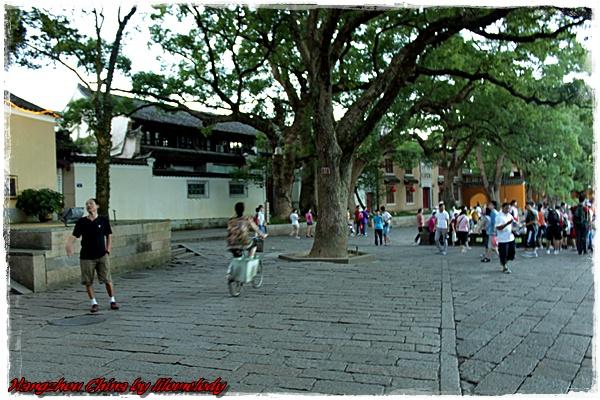IMG_6794.JPG