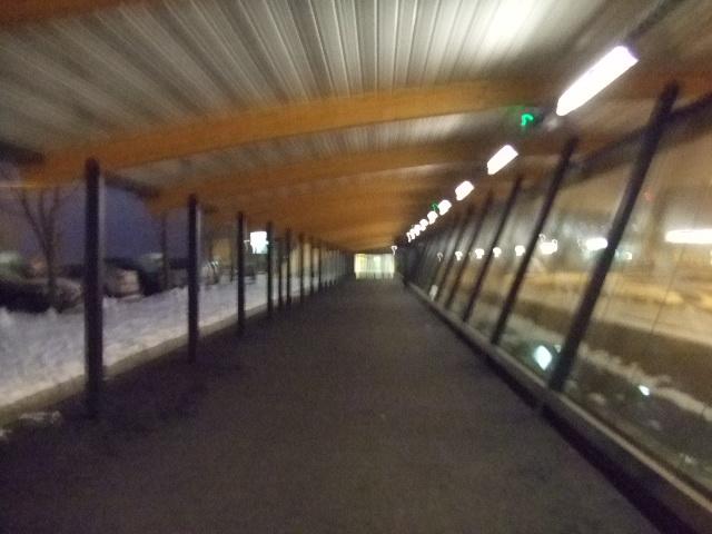 2011_0107LEKY0088.JPG