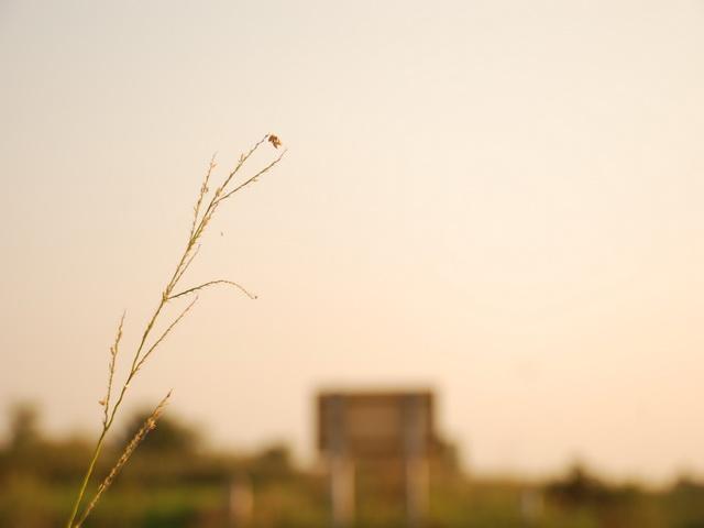 DSC_3956.JPG