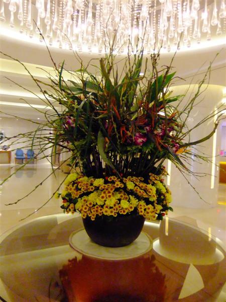 DSCF0357 (Medium).JPG