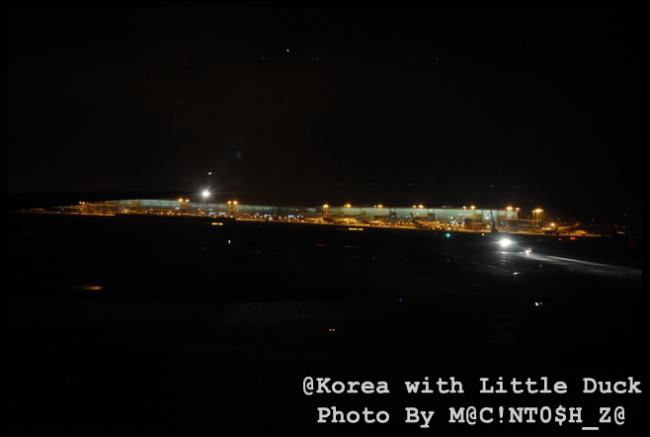 DSC_3376_resize.jpg