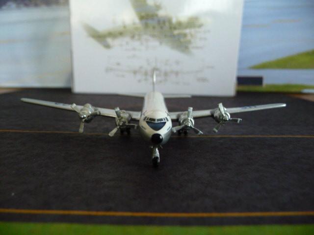 P1070683.JPG