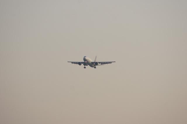 DSC05592.JPG
