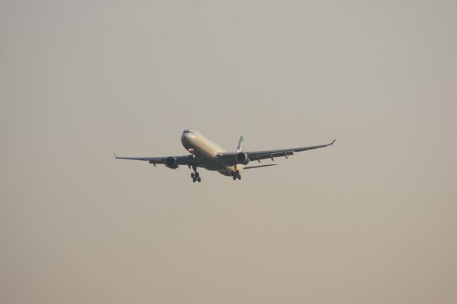 DSC05628.JPG