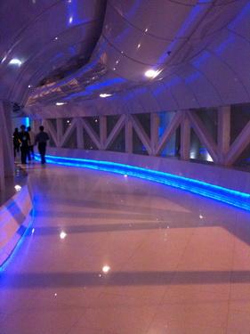 IMG_3902_resize.jpg