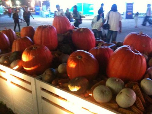 IMG_3943_resize.jpg