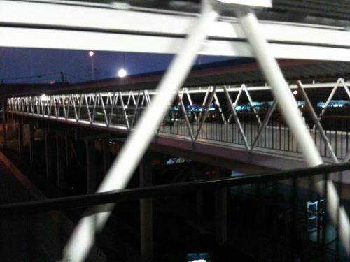IMG_3907_resize.jpg