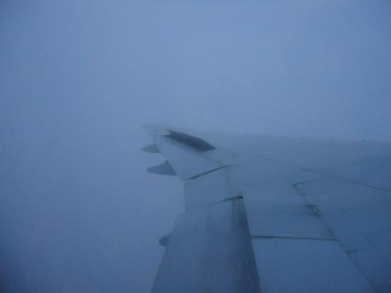 DSC07261_resize.JPG