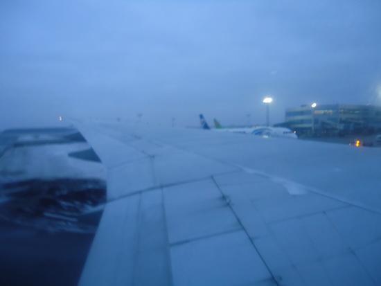DSC07272_resize.JPG