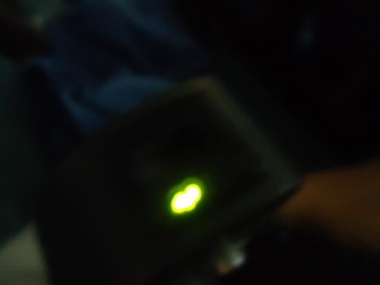 DSC07217_resize.JPG