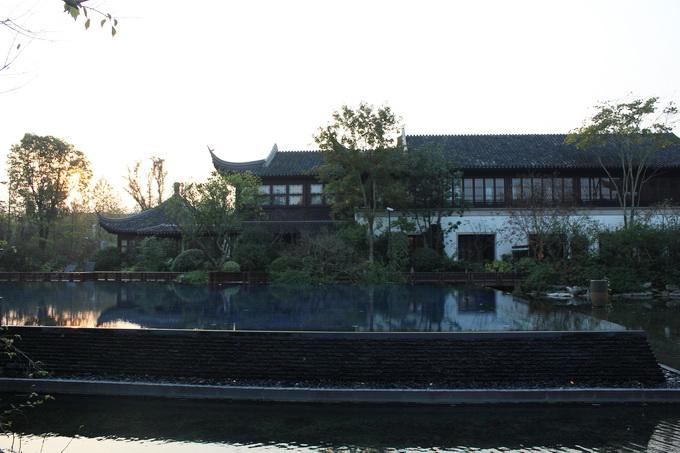 IMG_7962_resize.jpg