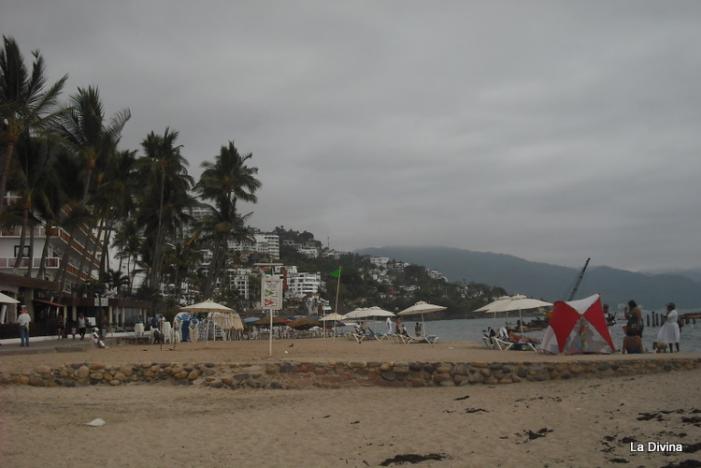 DSCF0158.JPG