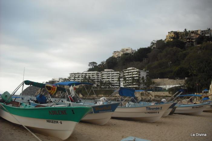 DSCF0247.JPG