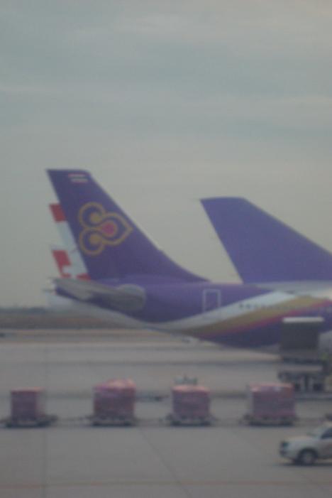 A05003.jpg