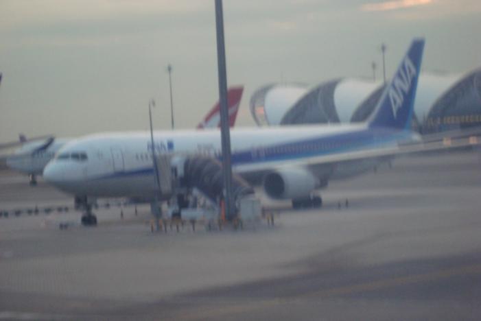 A05005.jpg