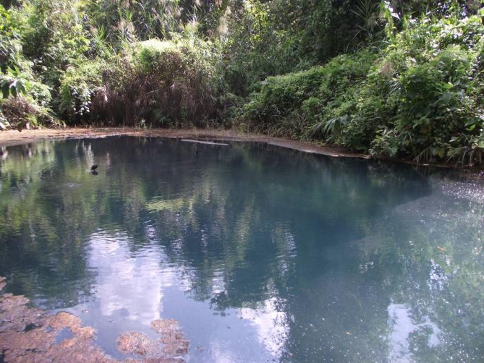 p23.jpg