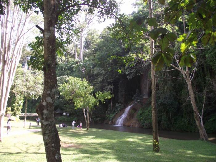 p16.jpg