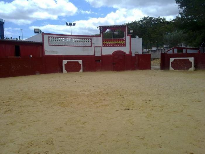bull fight 2.jpg