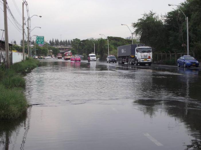 p1.jpg