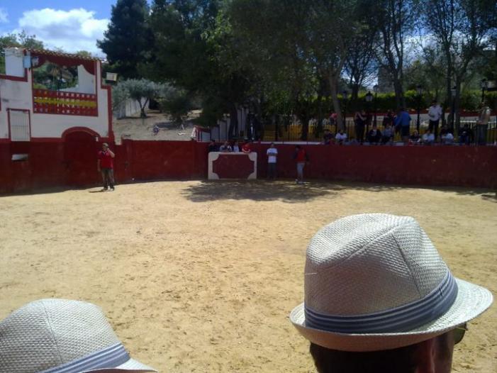 bull fight.jpg