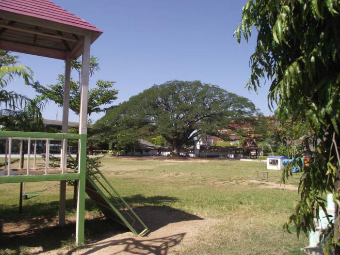 p10.jpg
