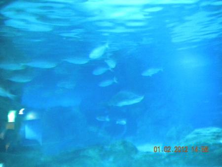 DSCN3576_resize.JPG