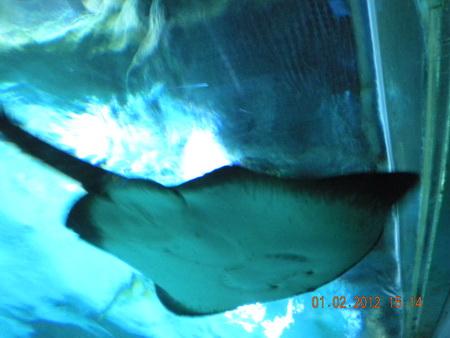 DSCN3621_resize.JPG
