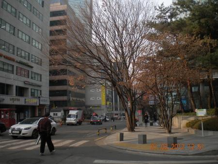DSCN3446_resize.JPG