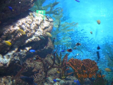 DSCN3556_resize.JPG