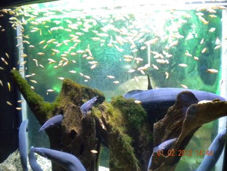 DSCN3534_resize.JPG