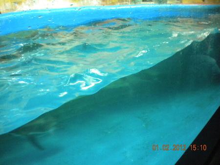DSCN3616_resize.JPG