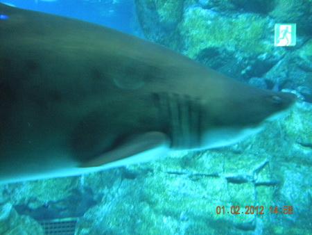 DSCN3582_resize.JPG
