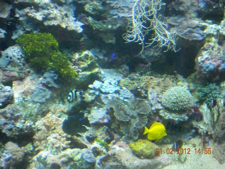DSCN3571_resize.JPG