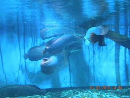 DSCN3523_resize.JPG