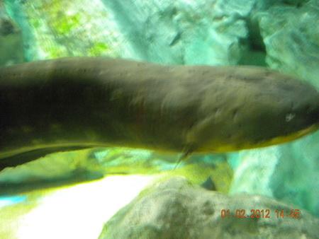 DSCN3536_resize.JPG