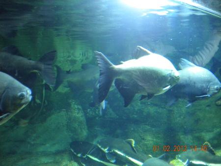 DSCN3537_resize.JPG